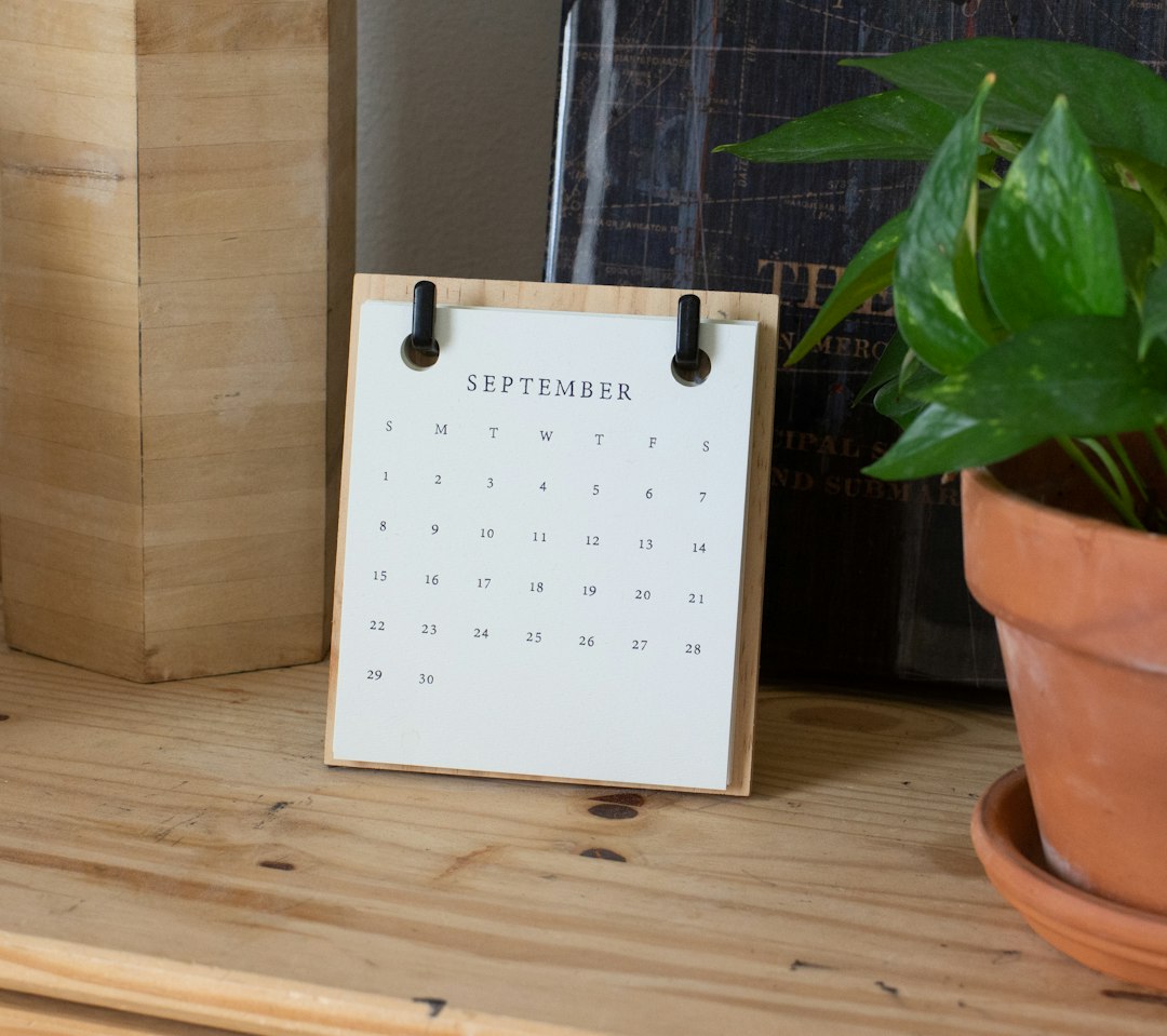 Piccolo calendario da scrivania accanto a una pianta